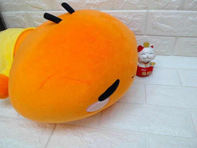 圖片載入錯誤