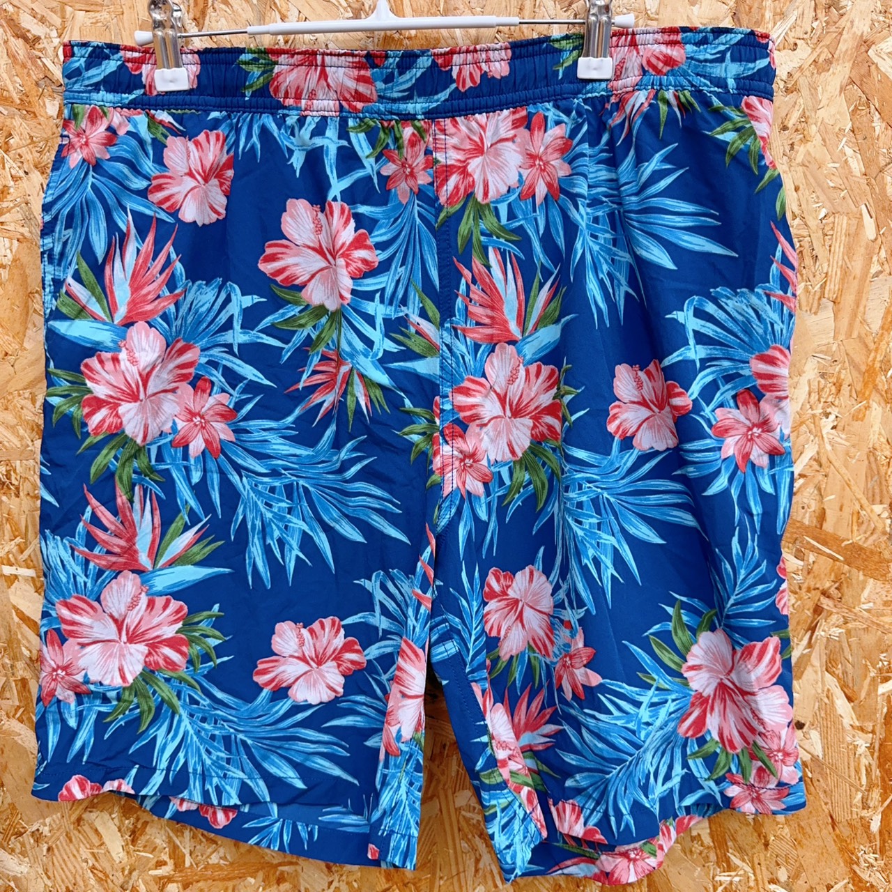 圖片載入錯誤
