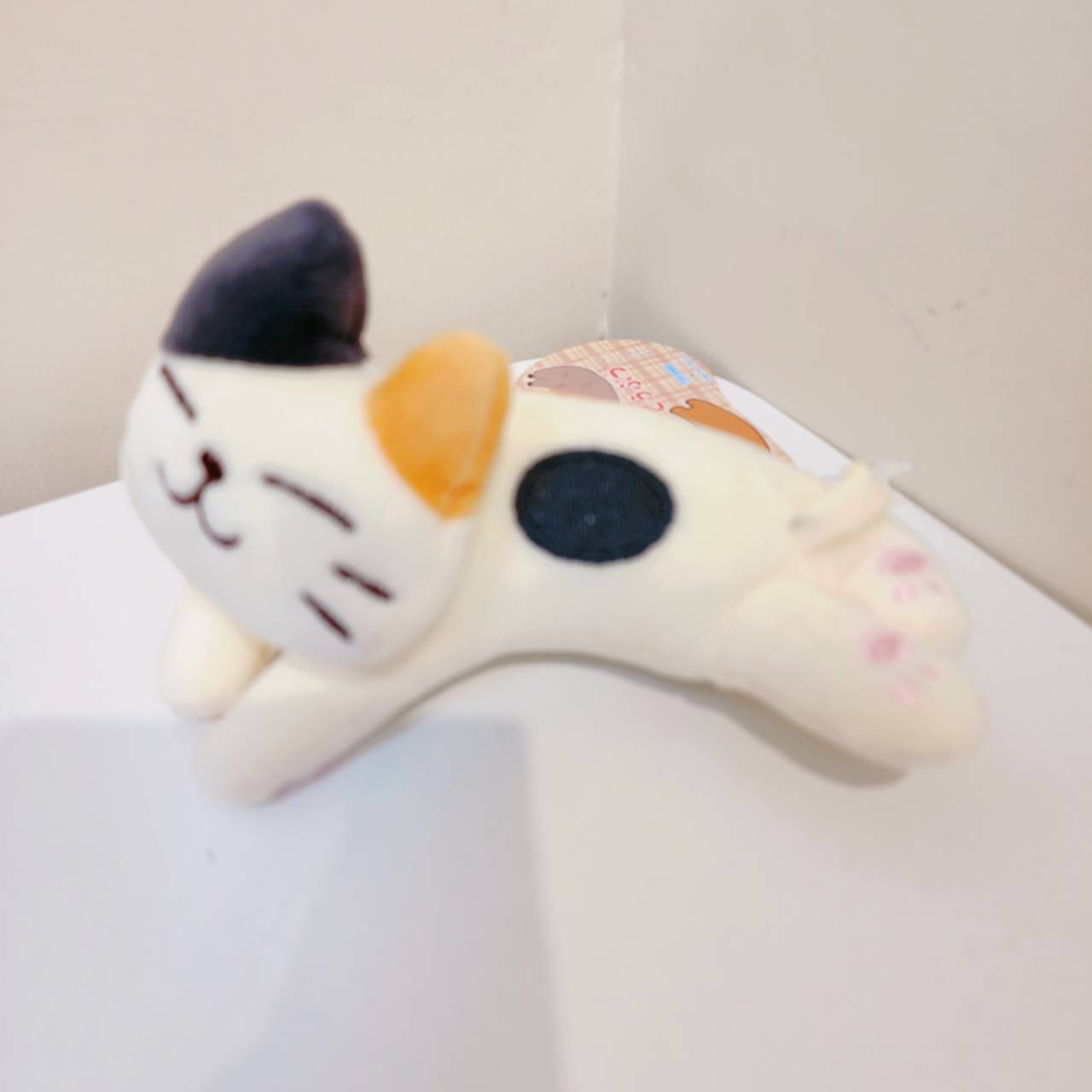 圖片載入錯誤
