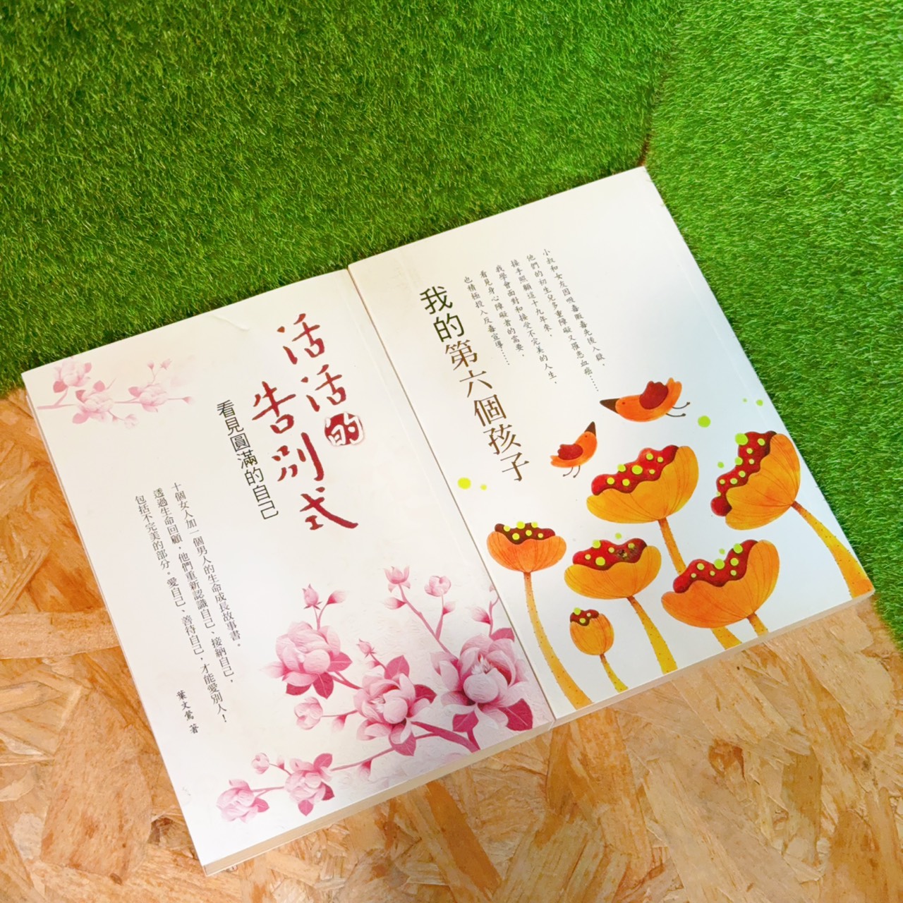 圖片載入錯誤