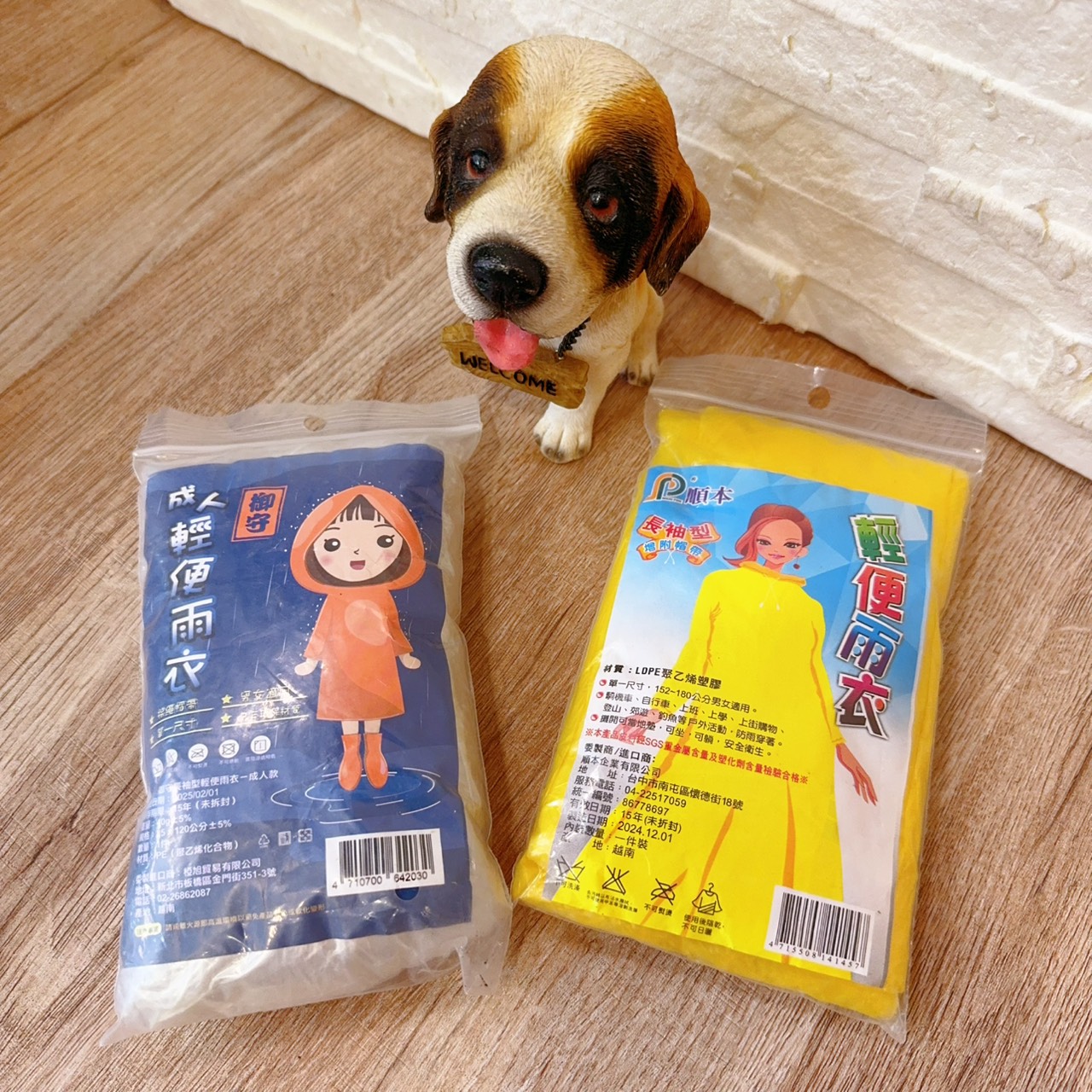 圖片載入錯誤