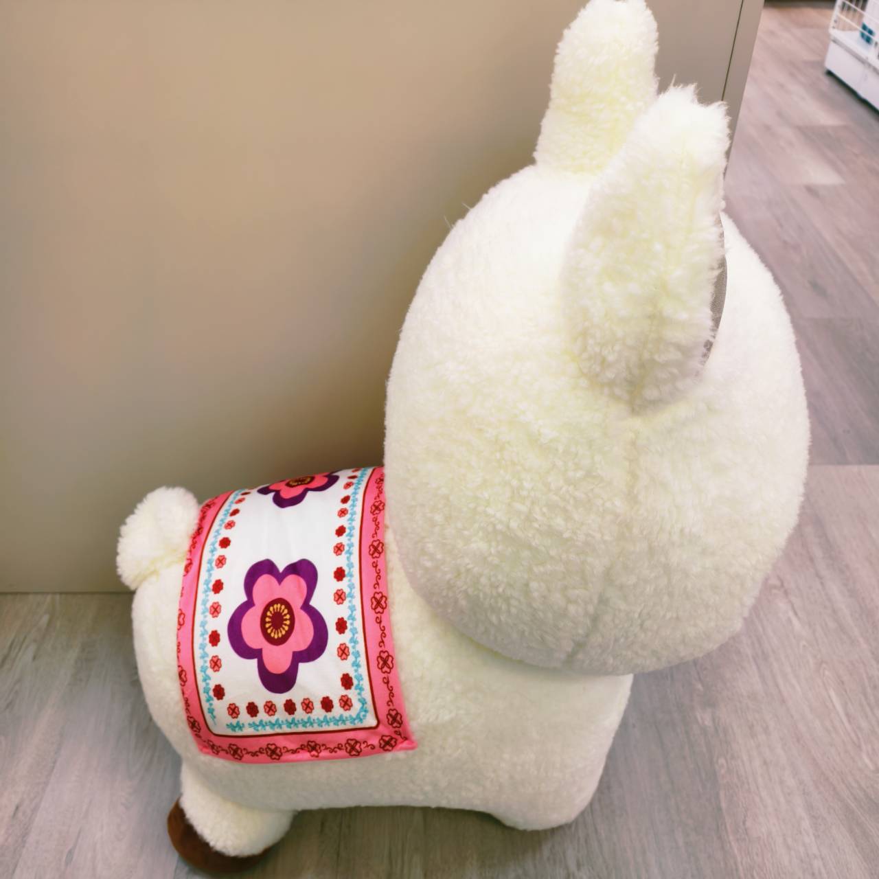 圖片載入錯誤