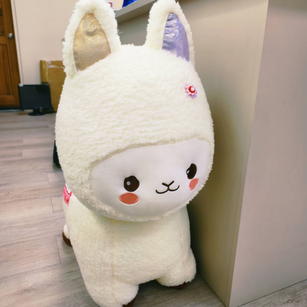 圖片載入錯誤