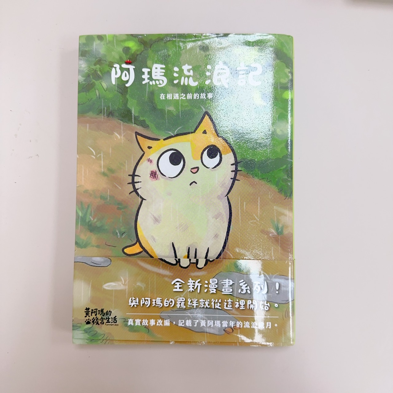 圖片載入錯誤