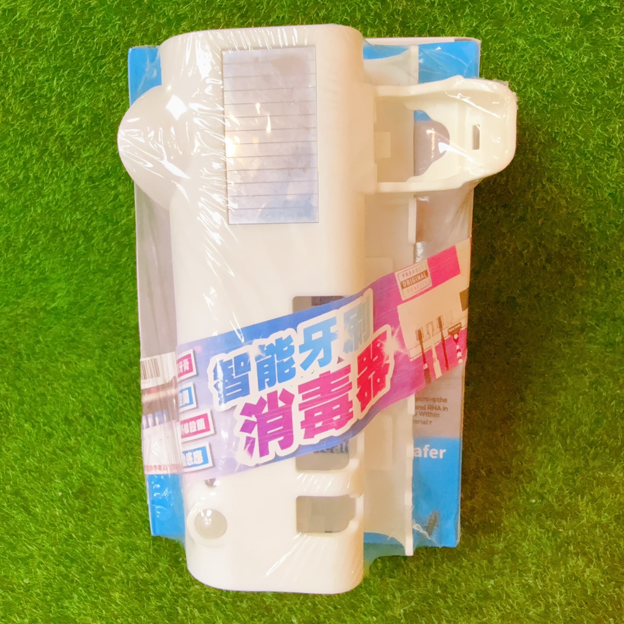 圖片載入錯誤
