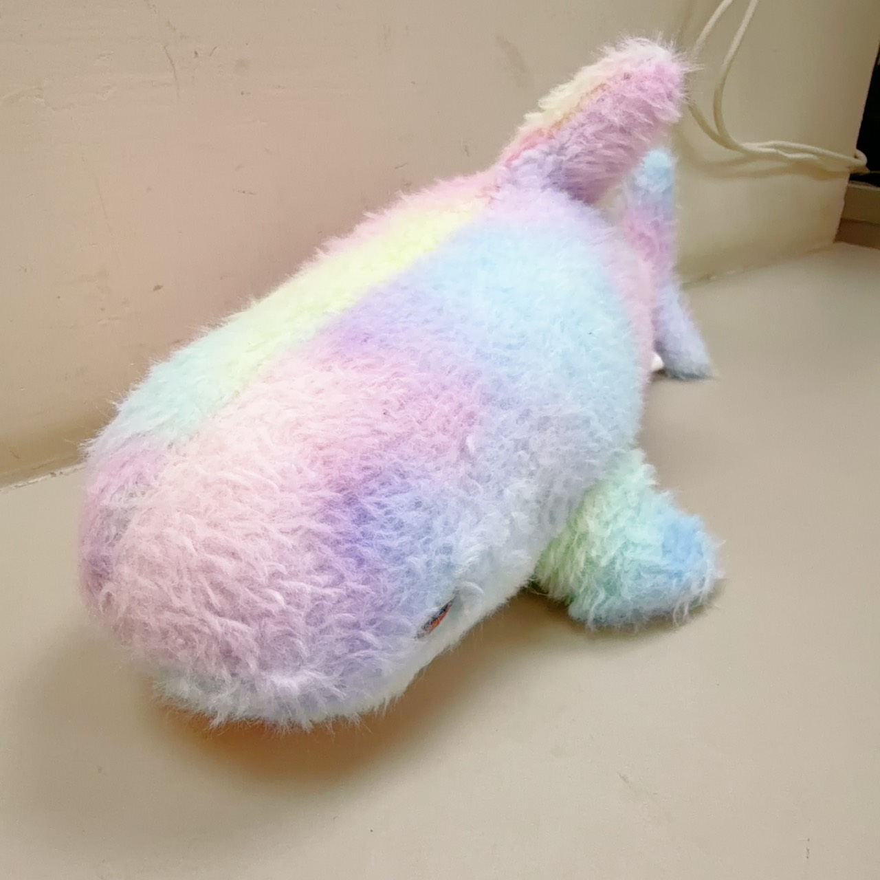 圖片載入錯誤
